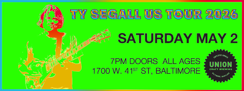 banner tysegall 1